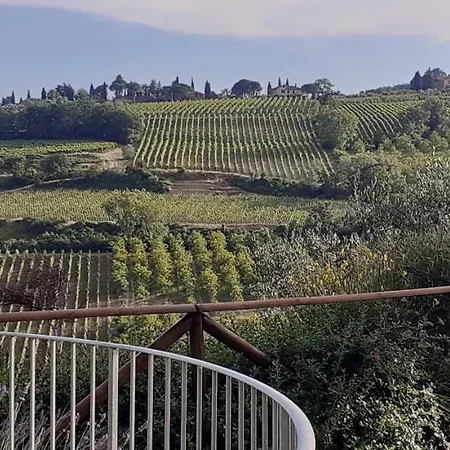 Il Pino - Ginepro *