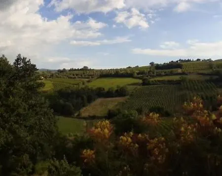 Il Pino - Ginepro *