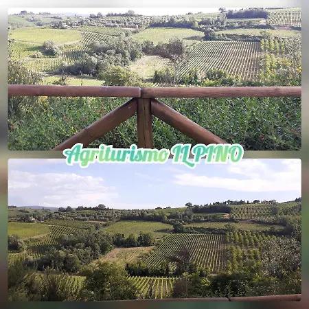 Il Pino - Ginepro