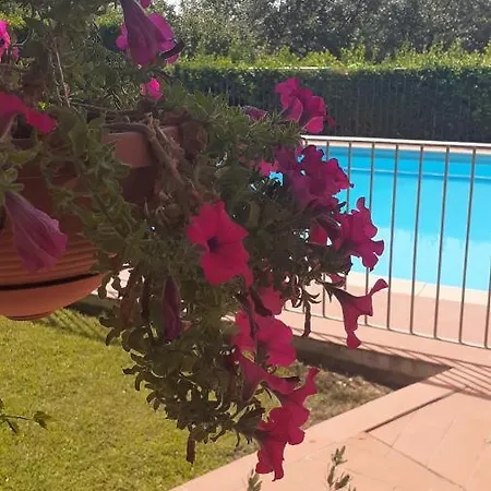 Apartment Il Pino - Ginepro Gambassi Terme