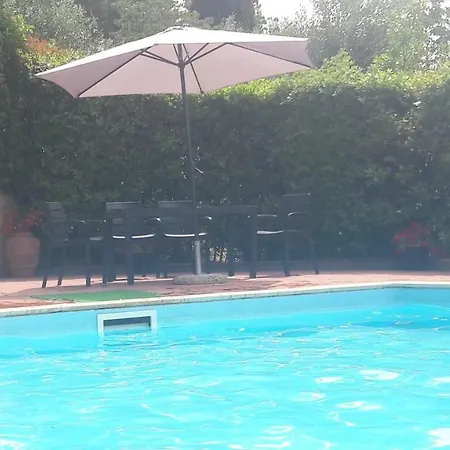 Il Pino - Ginepro